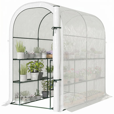 Walk-in Mini Greenhouse with Shelves, 123 x 187 x 189 cm