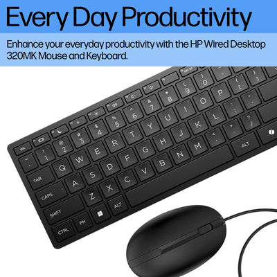 HP Wired Desktop 320MK Mouse and Keyboard Combo