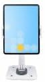 StarTech.com Adjustable Tablet Stand for Desk - Wall Mountable - Capac