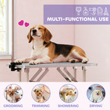 Foldable Pet Grooming Table for Dogs Cats with Adjustable Arm