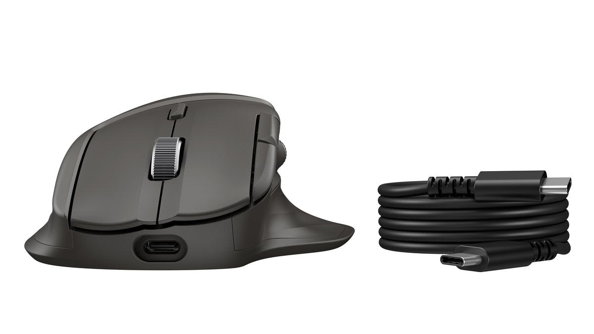 HP Ultra-Fast-Scroll Wireless Mouse 785M