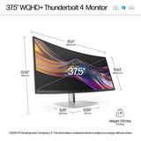 Écran HP Series 7 Pro 37,5 pouces WQHD+ Thunderbolt 4 - 738pu
