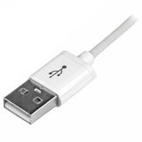 Câble Lightning vers USB 1M blanc MD818ZM/A MD820ZM/A