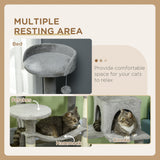Grand arbre à chats pour chats d'intérieur, tour à chats multi-niveaux 56