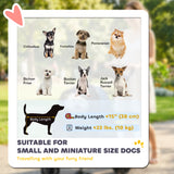 Foldable Pet Stroller for Small Dogs and Cats with 4 Wheels, Mesh Windows, Storage Tray