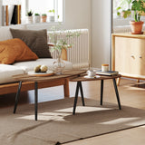 Ensemble de 2 tables basses pour salon, tables gigognes style industriel avec pieds en acier