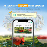 Smart Bird Feeder Camera Solar Powered with AI Identify 16000+ Birds