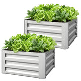 2' x 2' x 1' 2-Pieces Raised Garden Bed with Galvanised Steel Frame for Vegetables