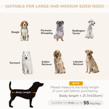 Sofa pour animaux moderne lit pour chat ou chien moyen-grand avec coussin amovible