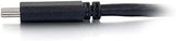 C2G 26902 USB-C to DisplayPort Adapter Cable 4K 30Hz, Black (6 Feet, 1