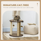 Arbre à chat 17 po, centre d'activités pour chatons avec jouets suspendus