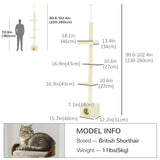 Floor to Ceiling Cat Tree with Scratching Post for Indoor Cats, Adjustable Height Cat Tower (91-102 Inches) with House