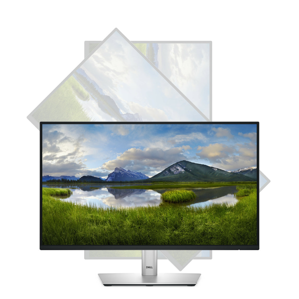 Écran Dell P2225H 21,5