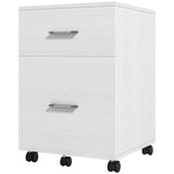 Mobile Filing Cabinet, Vertical File Cabinet with 2 Drawers, Wheels, for Letter or A4 File