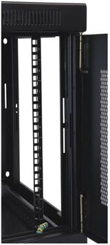 TRIPP LITE SmartRack 9U Armoire murale à faible profondeur pour commutateur