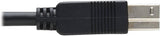 Tripp Lite U328F-20M Câble fibre optique USB 3.2, 20M