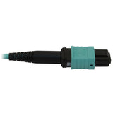 Tripp Lite N844B-10M-12-P 50/125 OM3 MTP/MPO Fiber Patch Cable