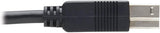 Tripp Lite U328F-20M Câble fibre optique USB 3.2, 20M