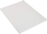 Epson Presentation Paper Matte (8.5x11 Inches, 50 Sheets) (S041257)