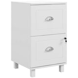 2-Drawer Small Filing Cabinet Lockable Home Office Storage Cabinet with Adjustable Hanging Bars for A4 Letter