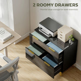 Lateral File Cabinet with 2 Drawers, Modern Filing Cabinet for Letter/A4/Legal Size Files