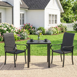 2 Piece PE Rattan Patio Dining Chairs with Steel Frame