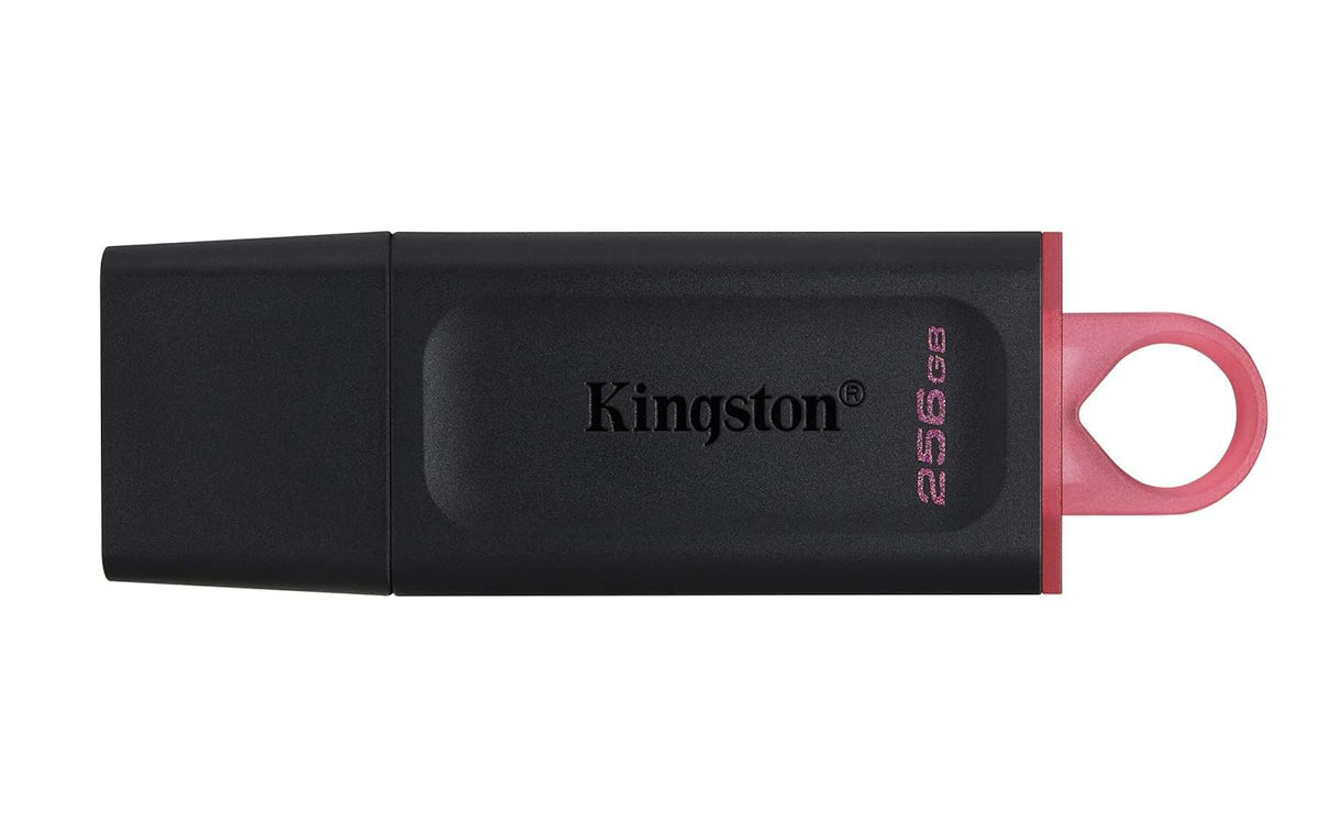 Kingston DataTraveler 256GB USB 3.2 Flash Drive