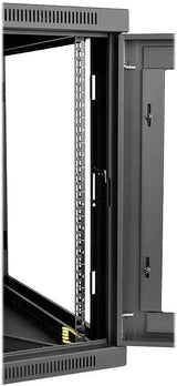 Tripp Lite 12U Wall Mount Rack Enclosure Server Cabinet with Acrylic G