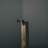 RH2 Match Set Ensemble de montage Antler simple