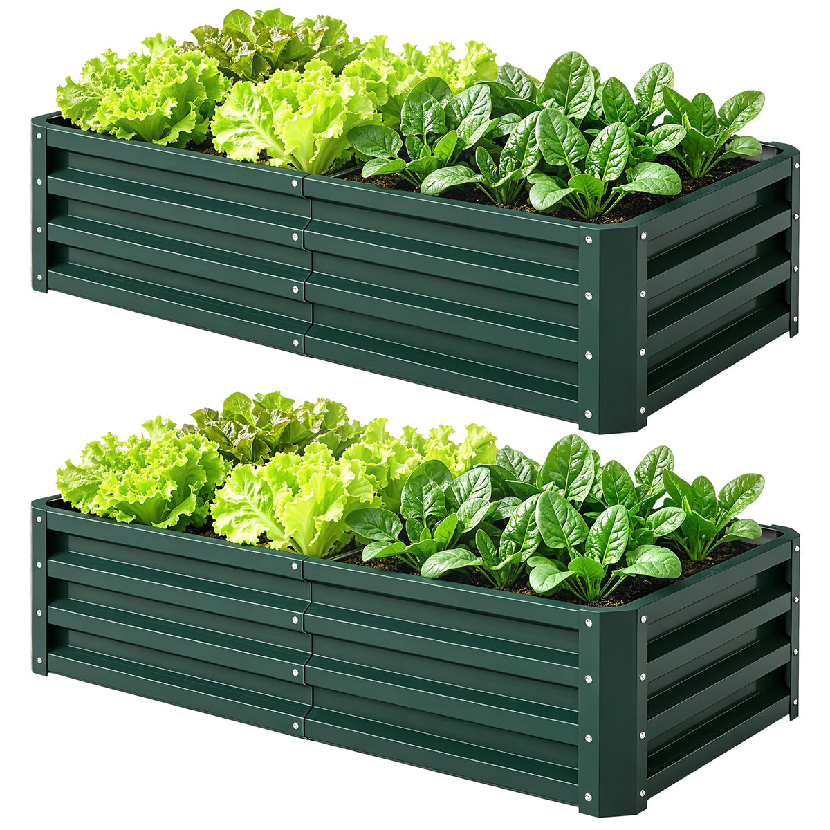 4' x 2' x 1' Raised Garden Bed