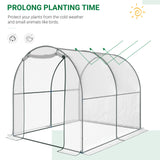 Dome Tunnel Greenhouse Plant Shed with Roll Up Door, 6.6' x 8.2' x 6.6'