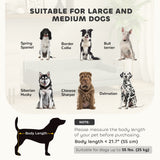 Lit-canapé surélevé pour chien, pattes en bois, pour chiens moyens et grands
