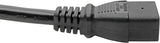 Tripp Lite P040-014 14-Feet Heavy Duty Power Cord C19 to L6-20P