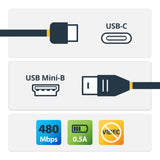 Câble USB-C vers mini-USB StarTech.com – 2 m – M/M – USB 2.0 – Min