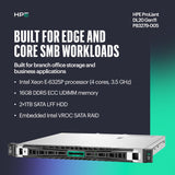HPE DL20 G11 E243416G 2LFF Svr