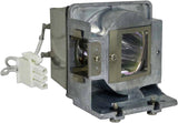 Module de lampe de rechange ViewSonic PJD8633WS