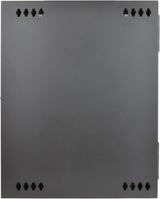 Tripp Lite 15U Wall Mount Rack Enclosure Server Cabinet with Acrylic G