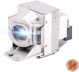 ViewSonic PJD6253, PJD6553W, PJD6383S, and PJD6683WS Replacement Lamp Module