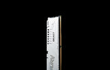 Kingston KF556C36BWEK2-64 64 Go de mémoire DDR5 5600MT/S