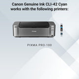 Canon Genuine Canon CLI-42 Ink Cartridge, Cyan