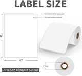 Zebra 10026372 4x2 Direct Thermal Label Paper