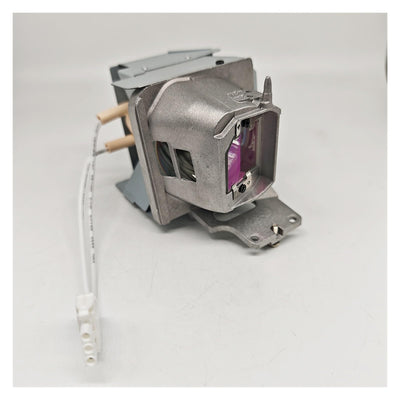 ViewSonic Projector Replacement Lamp for PA700W/PA700X/PA700S/PS502W/PS502X.