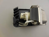 Ampoule de rechange OEM pour projecteur RLC-034 / RLC-037 avec ho