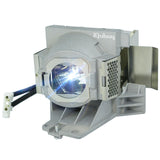 ViewSonic Projector Replacement Lamp for PJD6552LW