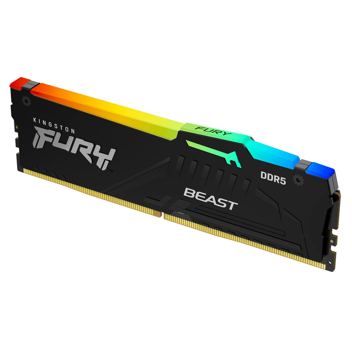 Mémoire de bureau Kingston Fury Beast RGB 16 Go 5600 MT/s DDR5 CL36 (un module)