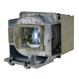 Module de lampe de rechange ViewSonic PJD8633WS