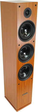 Premium FULL Range Passive Speaker