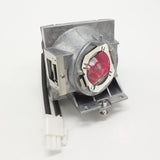 Lampe de remplacement pour projecteur ViewSonic PA503S, PA503X, PA500S, PA500X, PS501X, PS600X, PG603X, PA502SE et PA502XE.