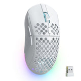 DELL FULL SIZE WIRELESS MOUSE MS300 12 29 1899