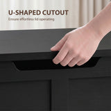 31.5 Inches Storage Chest